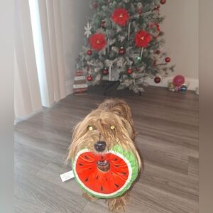 Bookmark For Future Shows.  I Appreciate You All!